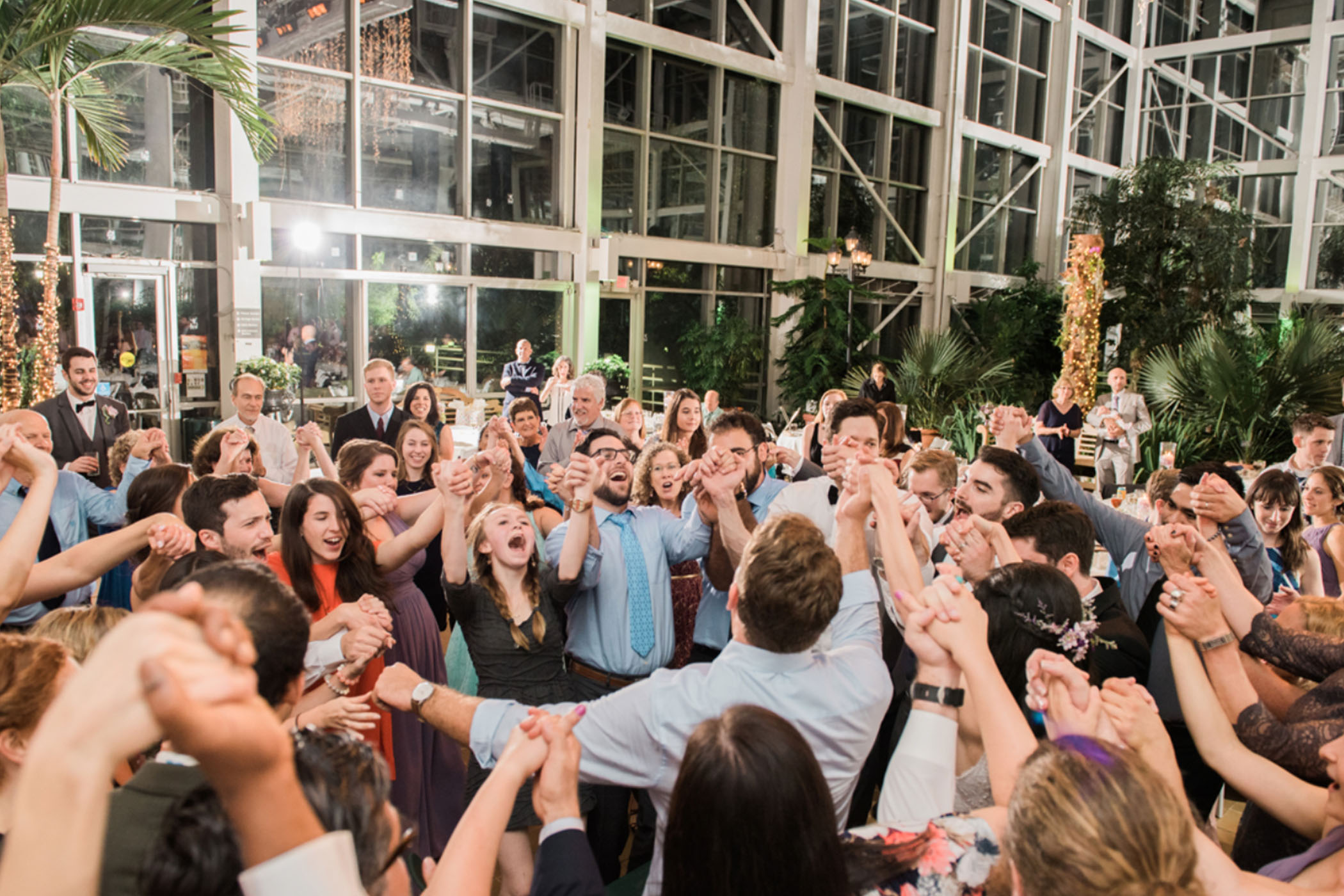 A large group of people stand in a circle holding hands and celebrating at an indoor event with tall windows and lush plants, enjoying lively music provided by professional wedding DJ services.